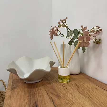Basset 1 * 발렌시아